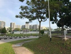 Blk 311C Anchorvale Lane (Sengkang), HDB 5 Rooms #138341822